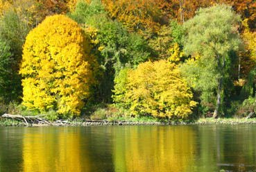 Festreden Regensburg Oberpfalz
